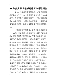 某年度支部书记抓党建工作述职报告