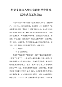 村党支部深入学习实践科学发展观活动试点工作总结