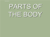 小学英语课件  Parts of the Body