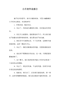 小升初毕业感言