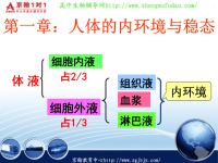 高中生物必修3复习课件