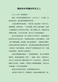 荆州市中考满分作文之二.docx