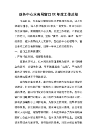 政务中心水务局窗口xx年度工作总结