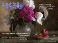 花儿和名人名言：生命的美丽(L).ppt