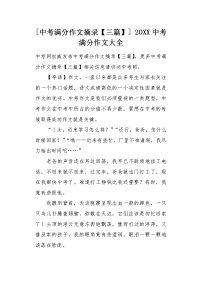 中考满分作文摘录三篇.docx