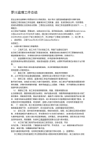 罗川监理工作总结