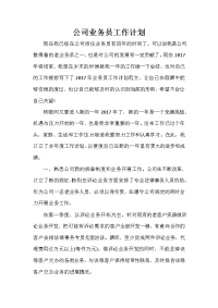 业务员工作计划 业务员工作计划集锦 公司业务员工作计划