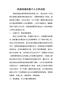 民政系统年度个人工作总结