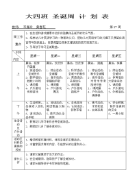 xiu圣诞周工作计划表.doc