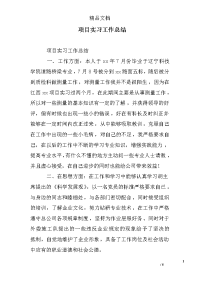 项目实习工作总结