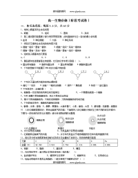 高一生物必修阶段考试卷