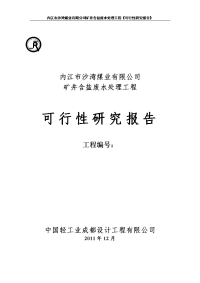 内江市沙湾煤业有限公司矿井含盐废水处理工程可行研究报告