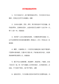 关于精彩的名言警句x