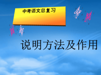 中考语文复习专题课件 说明方法及作用