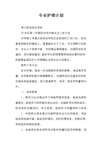 专业护理计划