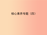 2019届中考数学复习 核心素养专题（四）课件