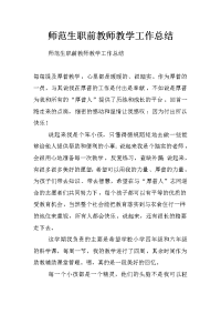 师范生职前教师教学工作总结