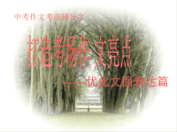 2011届中考作文专题辅导课件20