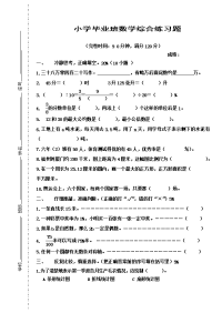 小学毕业班数学综合练习题