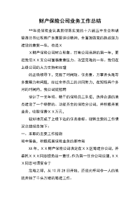 财产保险公司业务工作总结