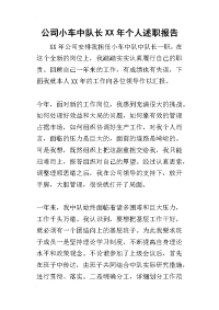 公司小车中队长某年个人述职报告