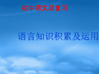 中考语文总复习 语言知识积累及运用课件