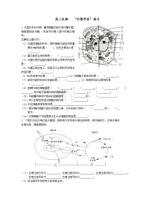 生物试图作答练习