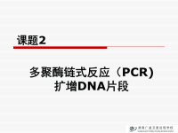 高中生物新课标人教版课件PCR技术