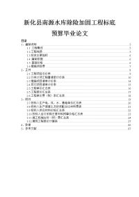 新化县南源水库除险加固工程招标预算文件论文