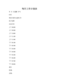 工作计划表 每日工作计划表.doc