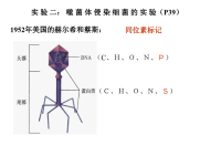 上海高中生物会考学业水平考试复习资料