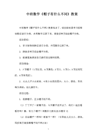 中班数学《帽子有什么不同》教案