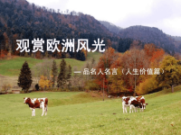 品名人名言(人生价值篇)