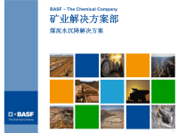 BASF 高效煤泥水处理技术