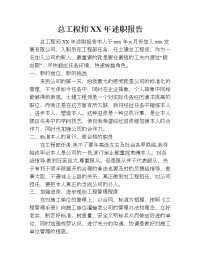 总工程师xx年述职报告.doc