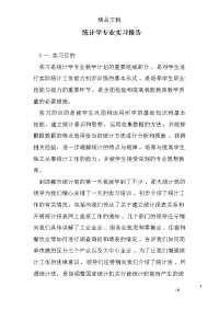 统计学专业实习报告