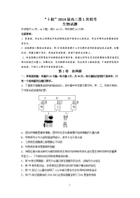 “十校”2014届高三第1次联考生物试题
