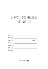 商业计划书（创业计划书）