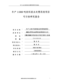 年产10000吨纺织废水处理药剂项目可行性研究报告