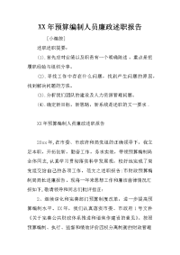 XX年预算编制人员廉政述职报告