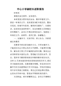 中心小学副校长的述职报告