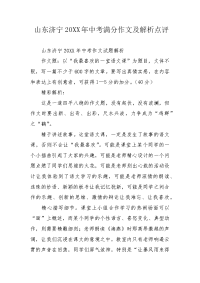 山东济宁20XX年中考满分作文及解析点评.docx