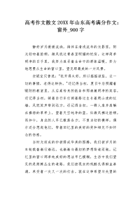 高考作文散文20XX年山东高考满分作文：窗外900字.docx