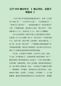 辽宁20XX满分作文 《 难以评价，还是不明是非 》.docx