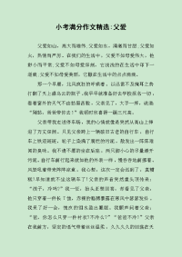 小考满分作文精选-父爱.docx