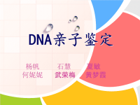 (生物学)DNA亲子鉴定