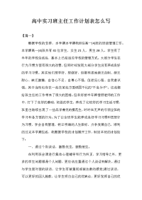 高中实习班主任工作计划表怎么写.doc