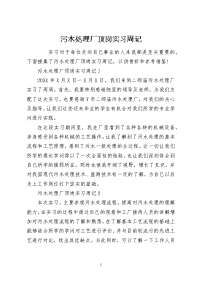 污水处理厂顶岗实习周记