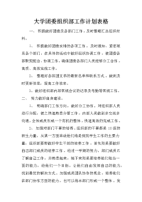 大学团委组织部工作计划表格