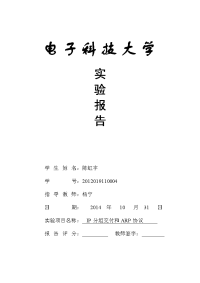 电子科技大学tcpip实验一ip分组交付和arp协议实验报告